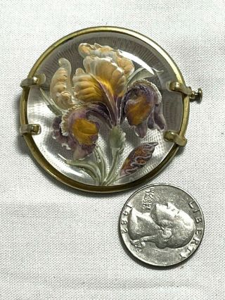 Gorgeous French Reverse Carved Lucite & Enamel Iris Flower Antique Brooch