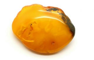 Antique Natural Baltic Amber Egg Yolk Butter Scotch Brooch 26.  24 Gr
