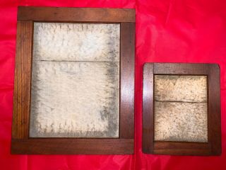 Two Antique Scovill & Adams Contact Print Frames 2