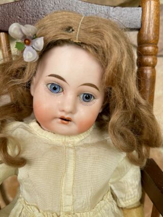Antique German ? Baby Doll Bisque Head 5/0 Wooden Arms & Legs Body Needs Tlc
