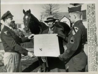 1947 Press Photo Legendary Race Horse Man O 