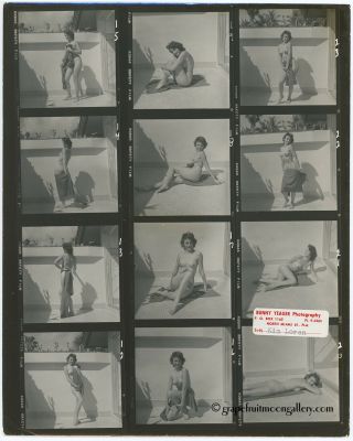 Bunny Yeager Pin - Up Contact Sheet Photograph Pretty Nude Figure Model Kim Loren