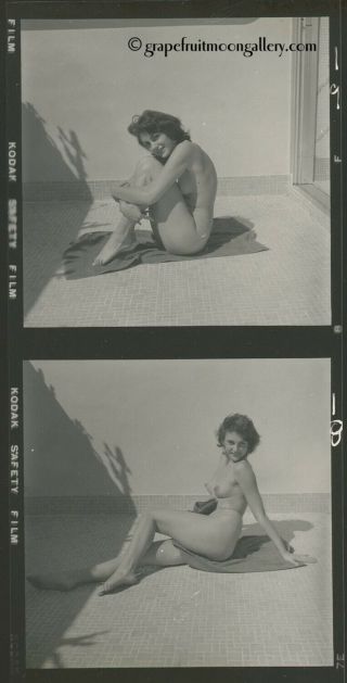Bunny Yeager Pin - Up Contact Sheet Photograph Pretty Nude Figure Model Kim Loren 3