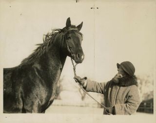 1924 Press Photo American Race Horse Morvich Winner Of The 1922 Kentucky Derby
