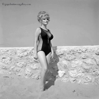 Bunny Yeager 1960s Pin - Up Camera Negative Photograph Busty Bathing Beauty Pin - Up