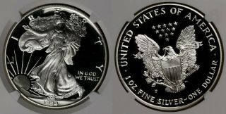 Usa 1994 P S$1 Silver Eagle Proof 1oz Ngc Pf 69 Ultra Cameo