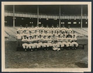 1949 Brooklyn Dodgers Team Photo Jackie Robinson,  Vintage Photo