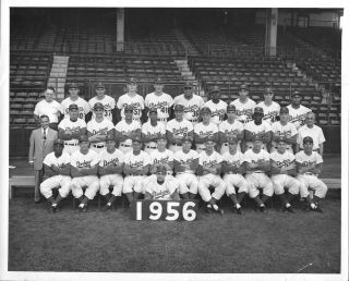 1956 Brooklyn Dodgers Team Type 1 Barney Stein Photo - Jackie Robinson 8x10 "