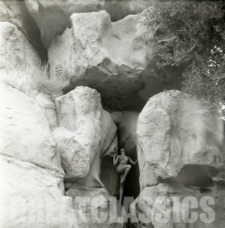 Frances Davis Svelte Nude Nature Model 1950s 2 1/4 Camera Negative Peter Basch