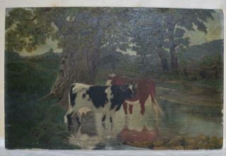 Cattle In A Water Meadow Antique Oil Painting Cows Early 1900`s O/b By S.  Brown