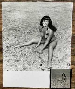 Vintage Bettie Page Contact & Matching 8x10 Photo From Bunny Yeager Archive 8