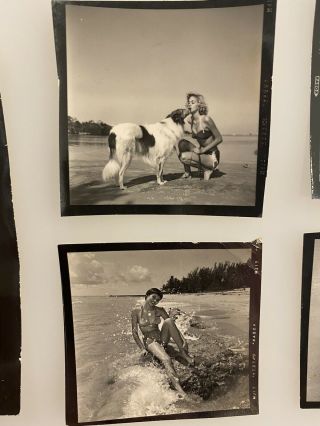 6 Vintage Bunny Yeager Nude Model Contact Sheet Photos,  From Yeager Archive 3
