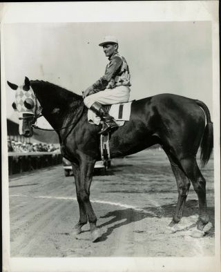 Undated Press Photo Champion Race Horse Discovery Owned By Alfred Vanderbilt