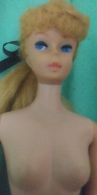 Ponytail Barbie 5 Or 6