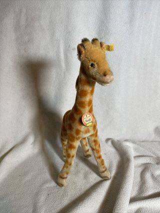 Vintage Steiff Giraffe 15 " Tall W/raised Silver Script Button - In Ear 6335,  00