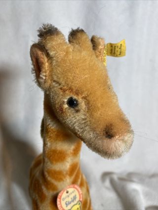 Vintage Steiff Giraffe 15 
