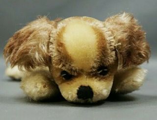 Vintage 1950 German Steiff Toy Floppy Lying Cocker Spaniel Mohair Puppy Dog 8 "
