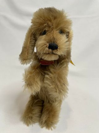 Vintage Steiff Knoph Im Ohr Brown Dog With Collar And Tag Year Unknown