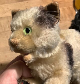 Antique Vintage German Rare Steiff Gussy Cat Kitten W/no Ids Miniature 4.  5” Tall