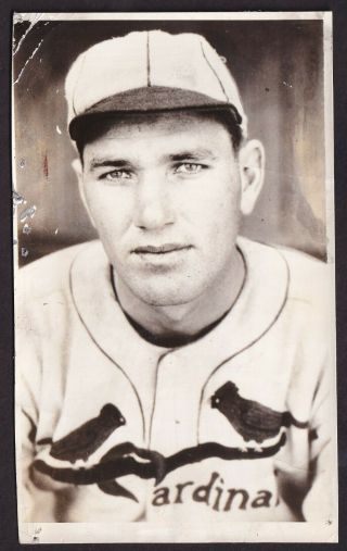 1934 Dizzy Dean St.  Louis Cardinals Hof Vintage Baseball Photo