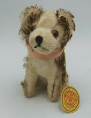 Billy,  The Lucky Pup,  Knickerbocker Toy Co.  Ny