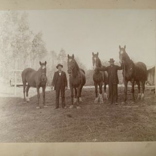 Antique Cabinet Card Photo Man Hat Handsome Cowboy Men Horses Gay Int Iowa?