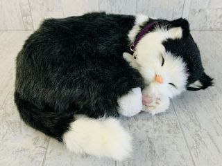Perfect Petzzz Black & White Cat “breathing”stuffed Animal Furreal Type Toy