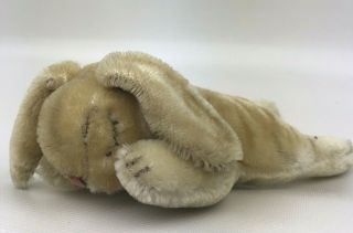 Steiff Vintage Sleeping Bunny Rabbit With Button No Tag 8.  5 "