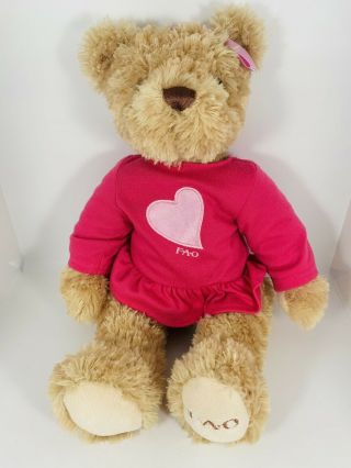 Fao Schwarz Toys R Us Teddy Bear Plush Stuffed Animal In Pink Heart Dress 2012