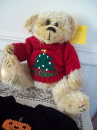 8  Recorder Sitting Bear with 12 Calendar Month Sweaters 2