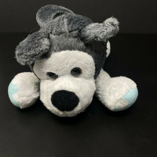 Animal Adventure Gray & White Husky Dog Plush Blue Feet Ears Hearts 9 " Stuffed