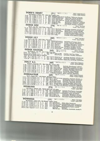 Greyhound Racing ProgramTaunton Dog Track1977Past Performances lines 