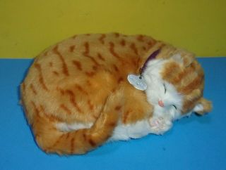 10 " Perfect Petzzz Orange Tabby Cat Breathing Sleeping Kitten Soft Realistic