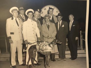 Greyhound Racing Taunton Dog Track Vintage Derby Photo