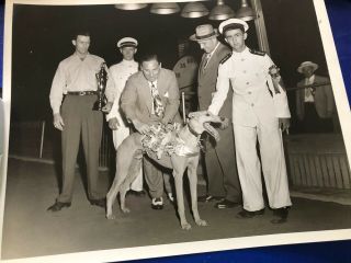 Greyhound Racing Fromtaunton Dog Track Vintage Trophy Photo Early 40s