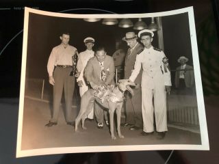 Greyhound Racing fromTaunton Dog Track Vintage Trophy Photo Early 40s 2