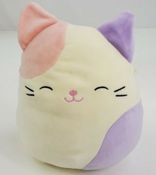 Squishmallow Kellytoy Charlotte Pink Purple Cat 9 " Plush Doll Toy Pillow Pet Vgu
