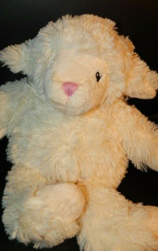 12 " First Impressions Cream Lamb Plush Stuffed Animal Macy 