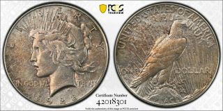 1928 - S Peace Dollar $1 - Pcgs 7374 - Cleaned - Au Detail