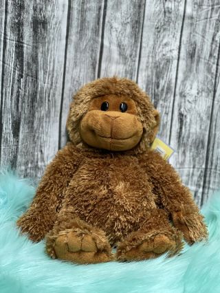 Rare Michaels Plush Monkey Stuffed Animal Curled Tail Beans 13” Toy 2004