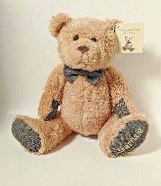Barnsie Bear From Barnes & Noble About 11 1/2 " Tall