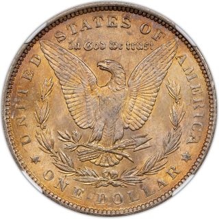 1888 - P MORGAN SILVER DOLLAR NGC MS 62 GORGEOUS GOLDEN COLOR TONED APPEAL 3