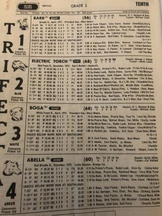 1975 Wonderland Greyhound Program.  41st Running of the Wonderland Derby 2