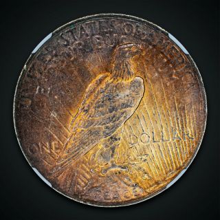 1922 - P Peace Silver Dollar Ngc Ms62 Reverse Toning