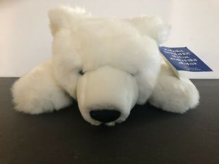 National Geographic Special Member Edition Polar Bear Plush 12 " Long With Tags
