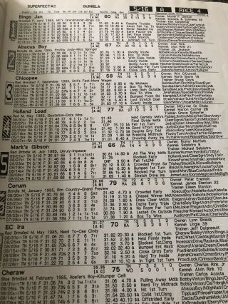 1987 Greyhound Race of Champions Program From Raynham Taunton 3