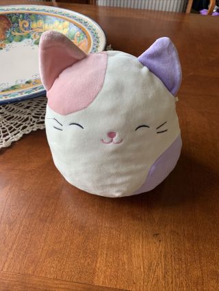 Squishmallow Kellytoy Charlotte Pink Purple Cat 9 " Plush Doll Toy Pillow Pet Vgu