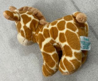 Baby Giraffe TREETOPS 8 