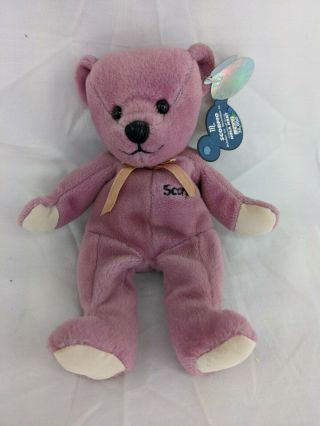 Planet Plush Scorpio Zodiac Sign Purple Bear 8 " 1999 Stuffed Animal Toy