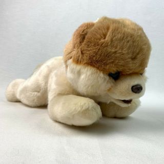 Gund Boo The Worlds Cutest Dog Plush Stuffed Animal Puppy Light Brown